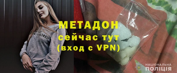 шишки Ельня