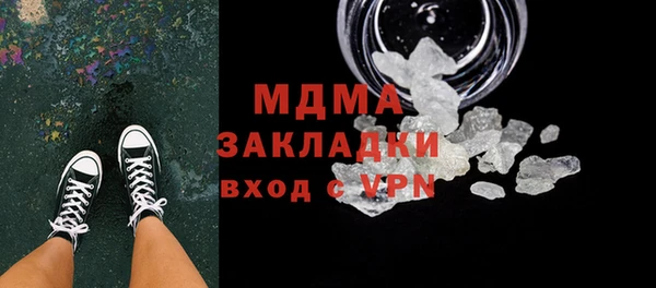 шишки Ельня