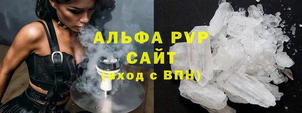 шишки Ельня