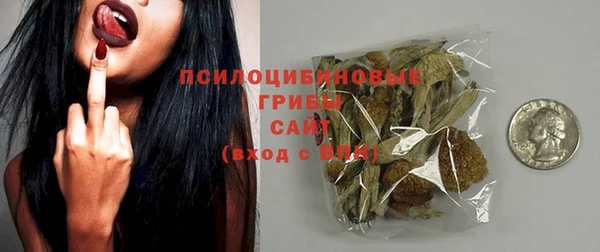МДПВ Елабуга