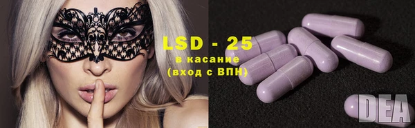 шишки Ельня