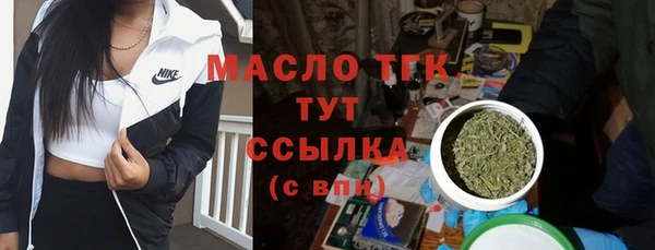 МДПВ Елабуга