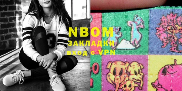 шишки Ельня