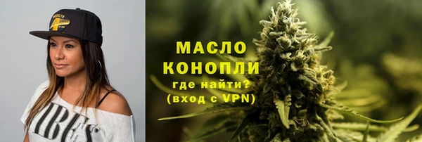 шишки Ельня
