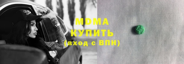 шишки Ельня