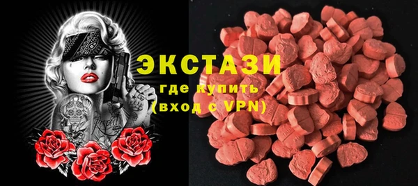 шишки Ельня