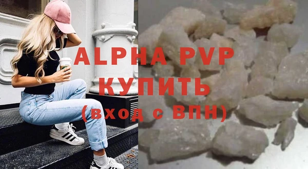 шишки Ельня