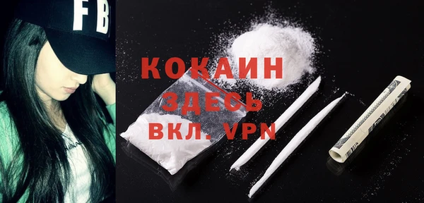 шишки Ельня