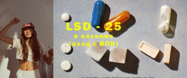 шишки Ельня