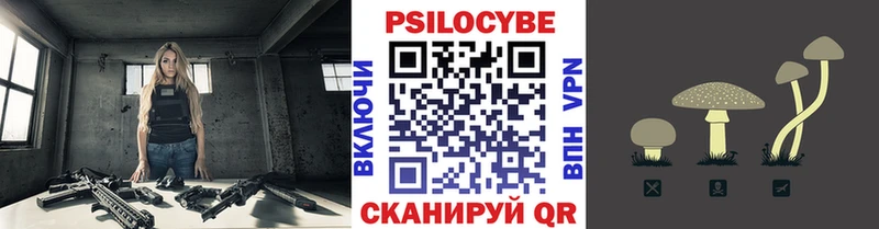 Галлюциногенные грибы Magic Shrooms  Купить где  Козельск 